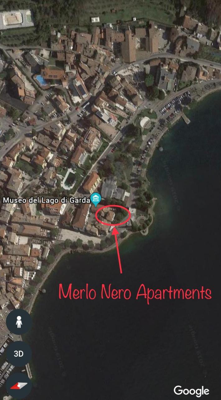Merlo Nero Garda (Verona)